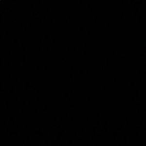 Meet your Posher, Kenzie